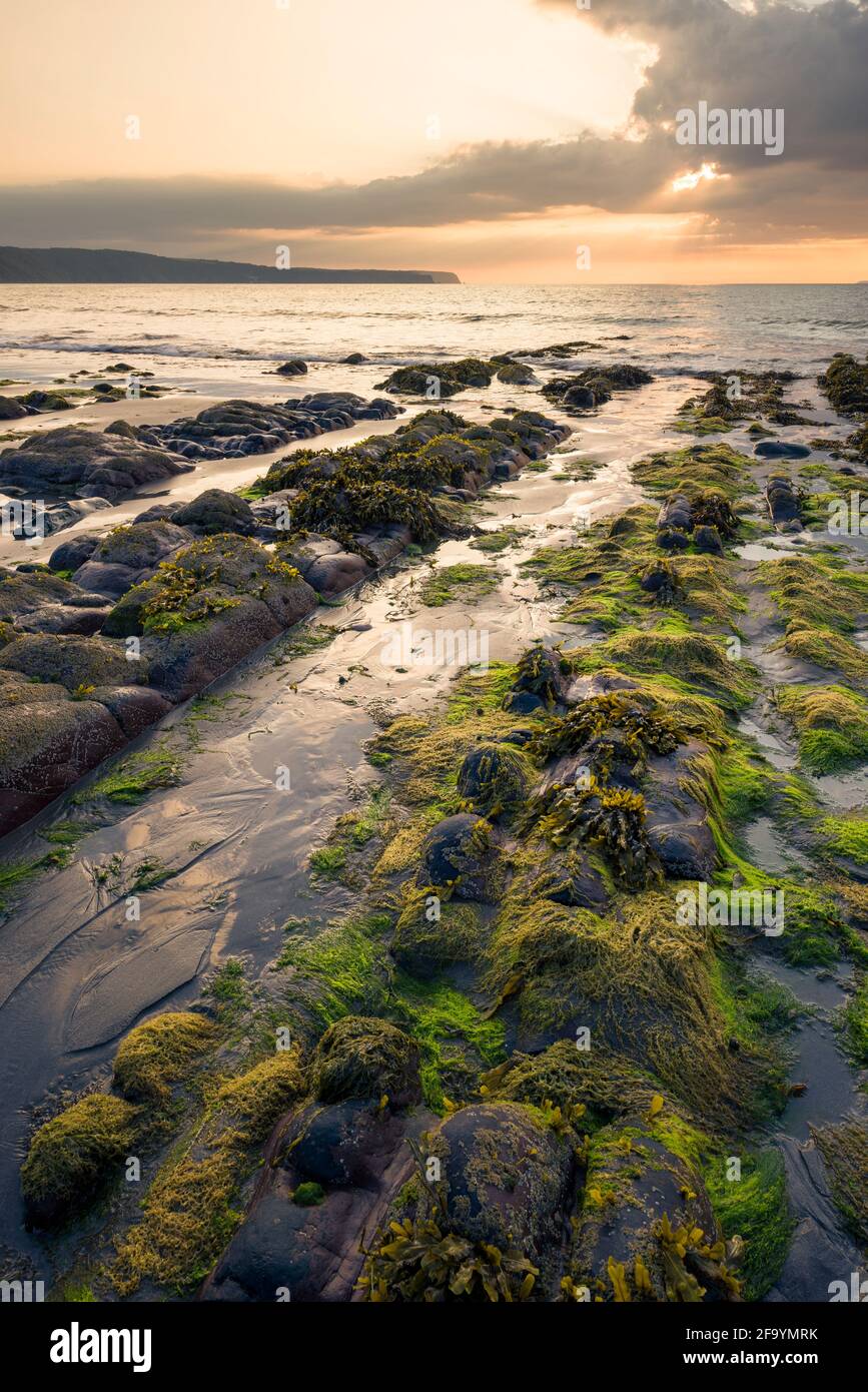 Peppercombe beach at sunset on the North Devon coast with Hartland point in the distance, England. Stock Photo