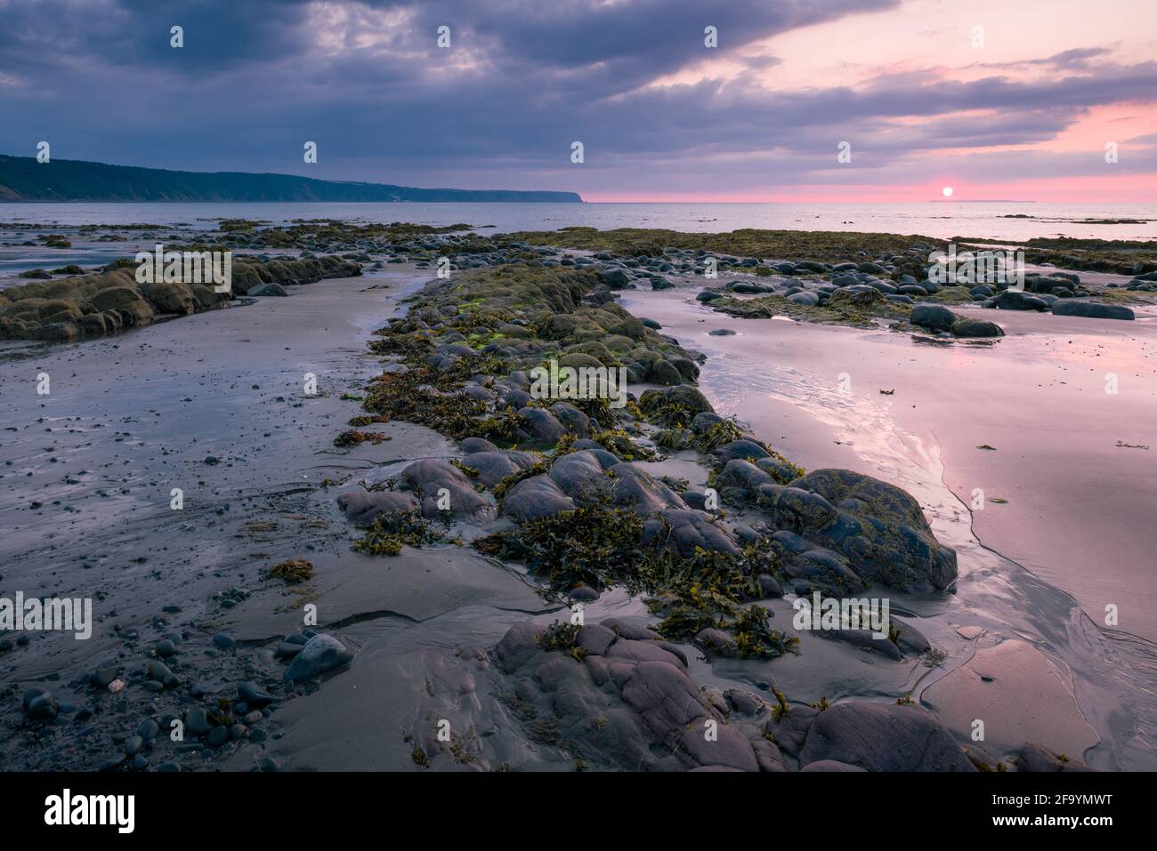 Peppercombe beach at sunset on the North Devon coast with Hartland point in the distance, England. Stock Photo