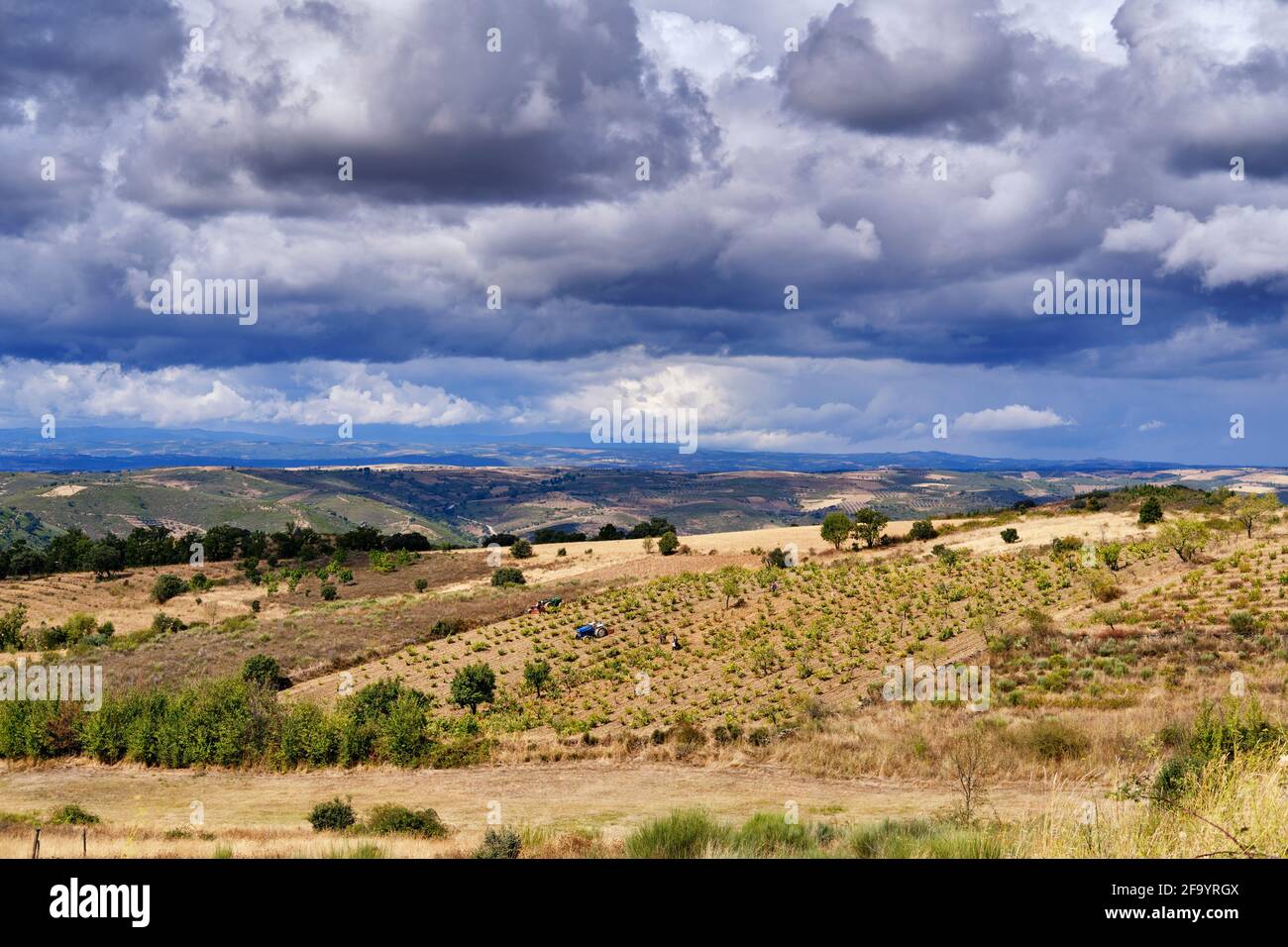Agriculture in the highlands of Algoso. Tras os Montes, Portugal Stock Photo
