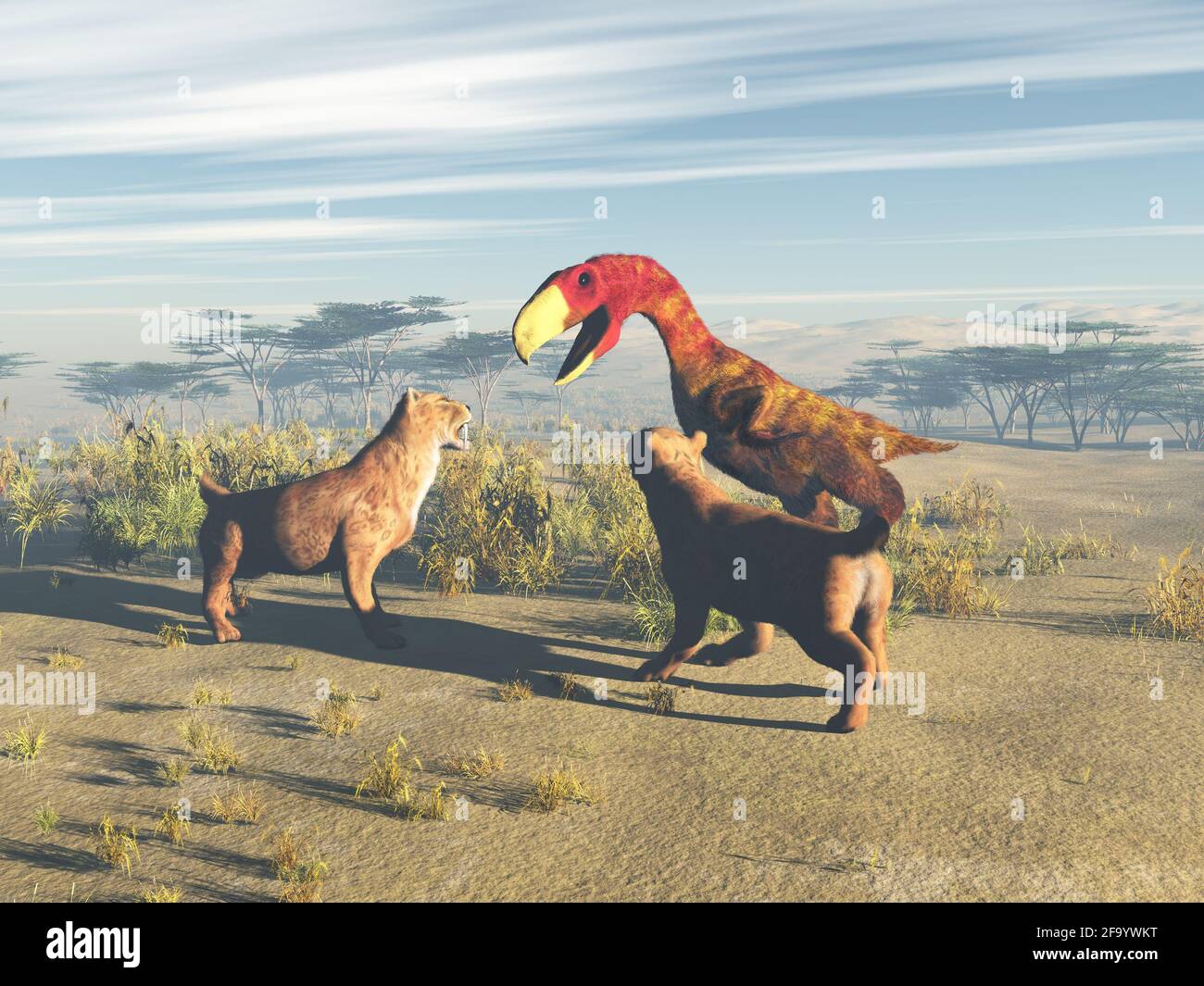 Two saber-toothed tigers facing a terror bird Stock Photo