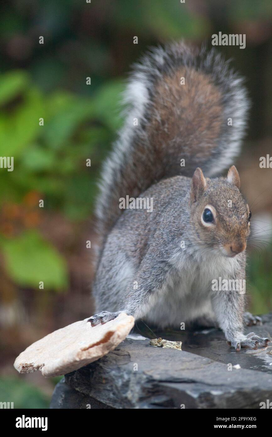Same Size High Resolution Stock Photography And Images Alamy Same Size High Resolution Stock Photography And Images Alamy