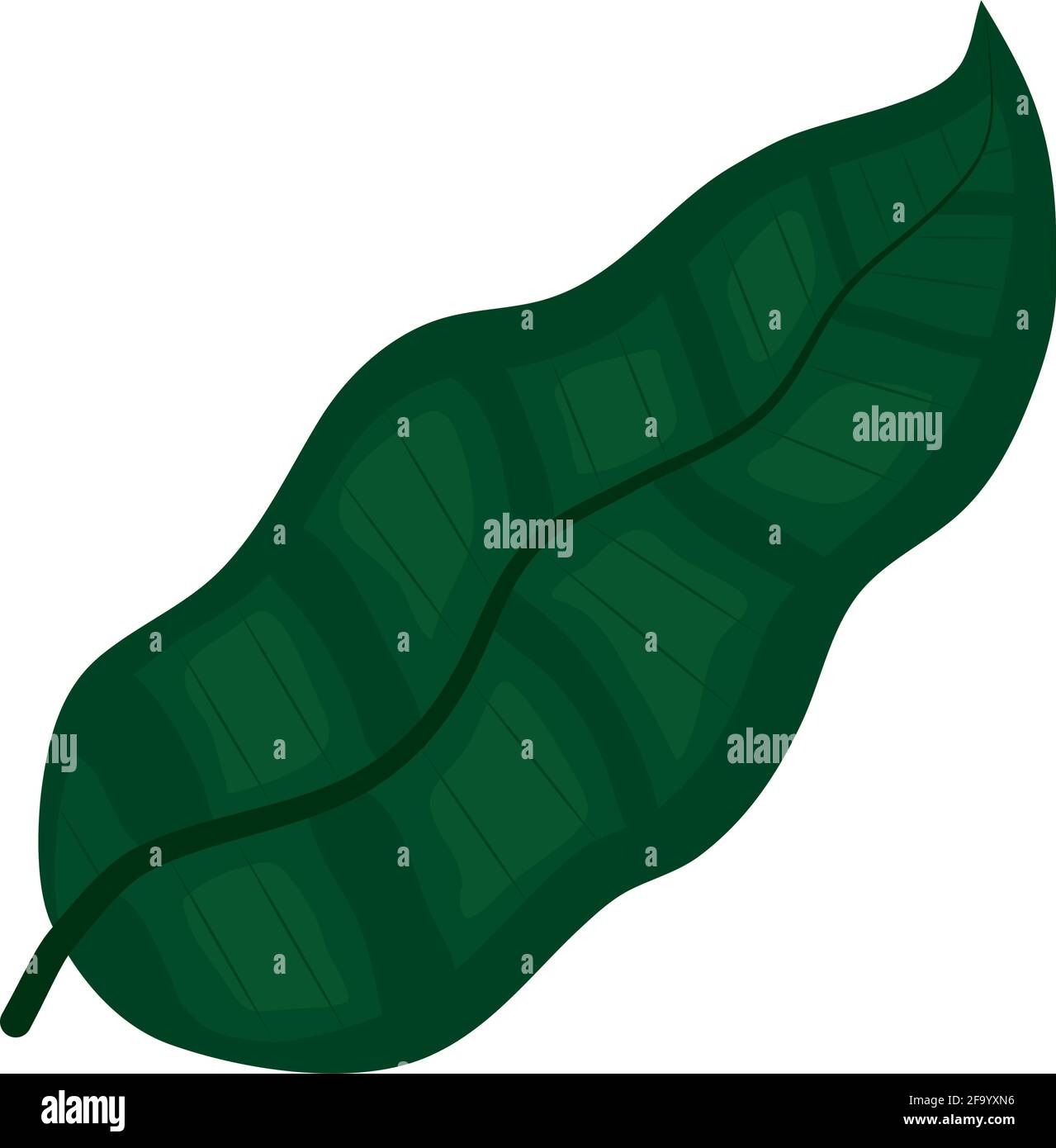 tropical leaf on white background Stock Vector Image & Art - Alamy