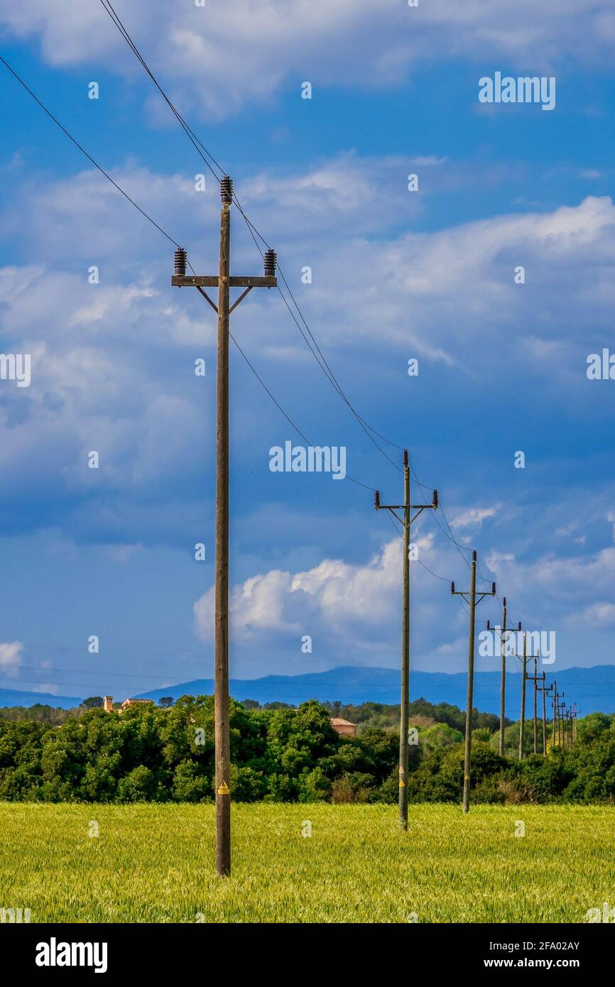 old electric wooden poles in the field Stock Photo