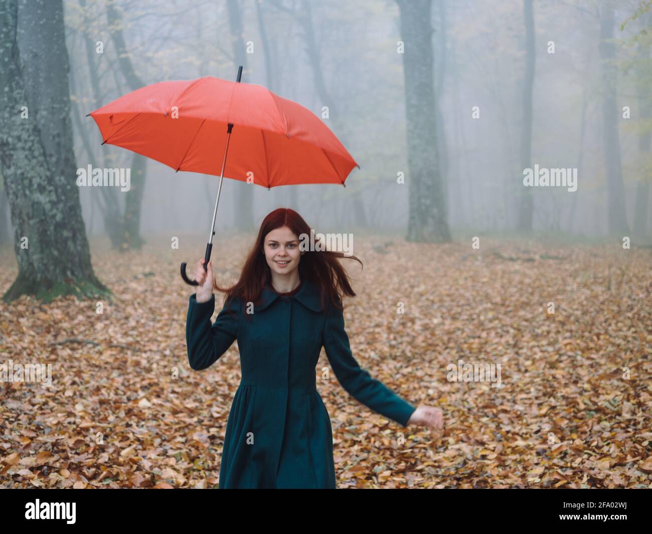 Pretty woman red umbrella walk in autumn in the forest with fog yellow ...