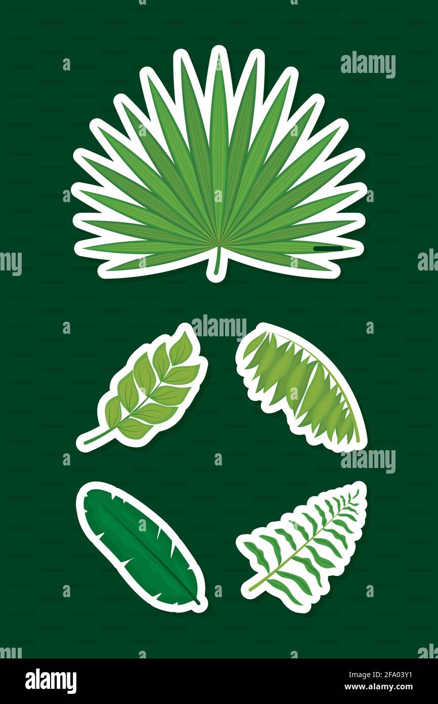 tropical leaves icon set design Stock Vector Image & Art - Alamy