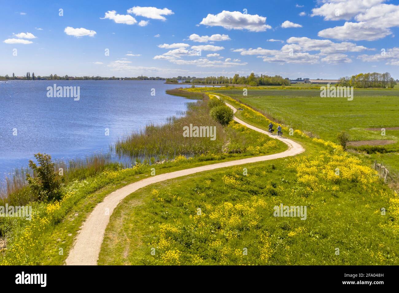 Aerial Springtime scene of dutch river near Boornzwaag. Cycling track on dike meandering throug polder with yellow flowers. Friesland, the Netherlands Stock Photo