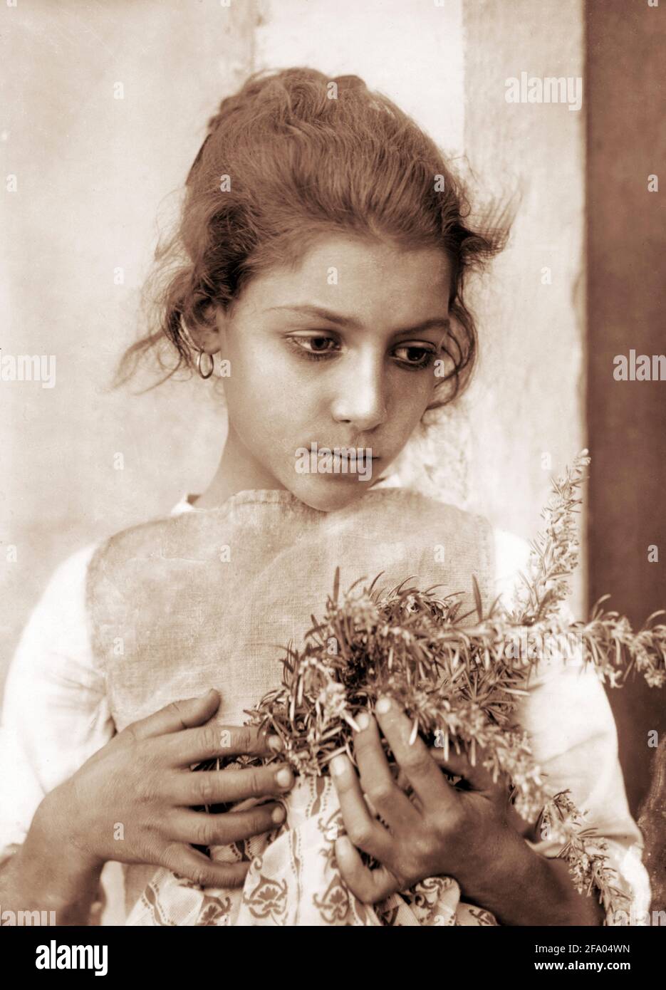 Wilhelm von Gloeden. Girl with Rosemary by the German photographer, Wilhelm Iwan Friederich August Freiherr von Gloeden (1856-1931), 1905-14 Stock Photo