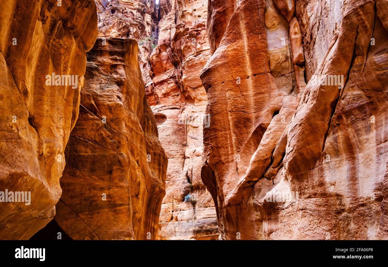 Canyon narrow path way between steep rocks, Petra, Jordan Stock Photo