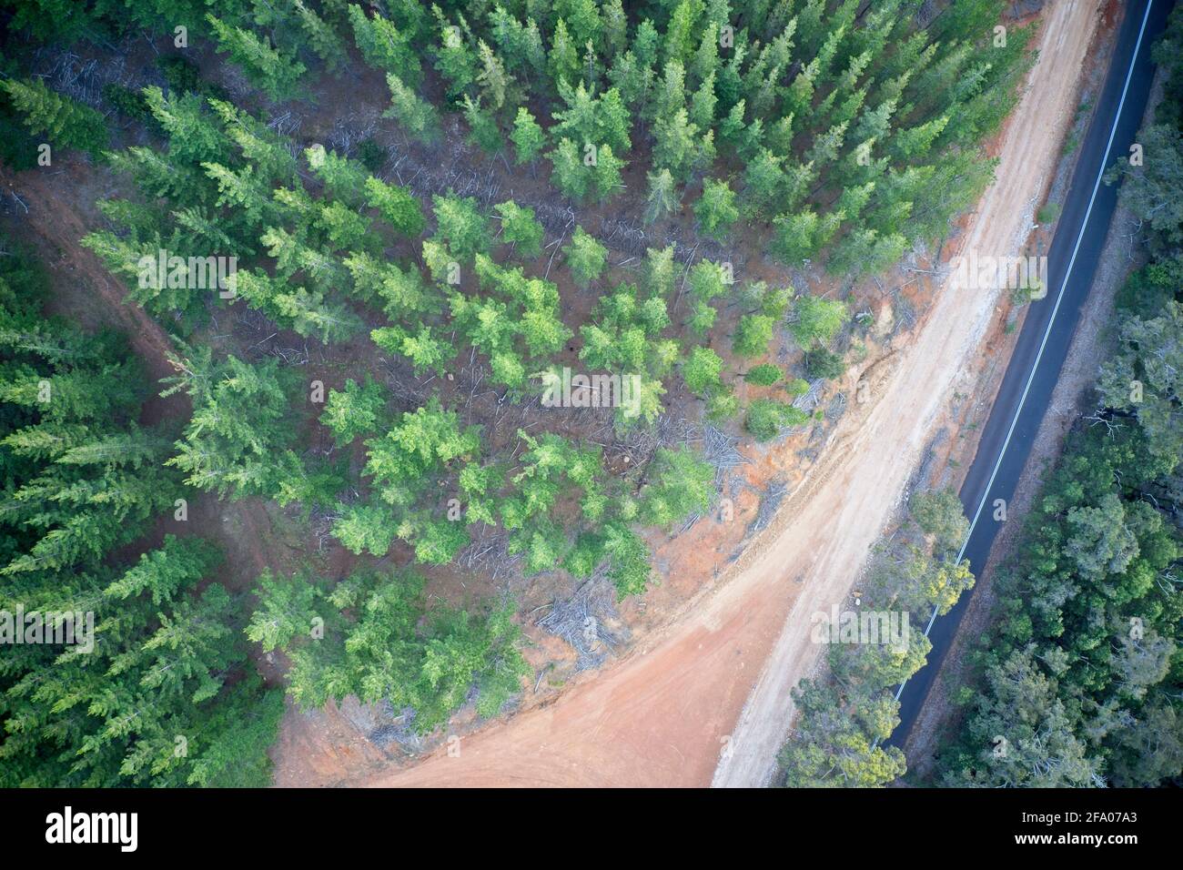 Drone view of road intersecting forest Balingup, Western Australia. Stock Photo