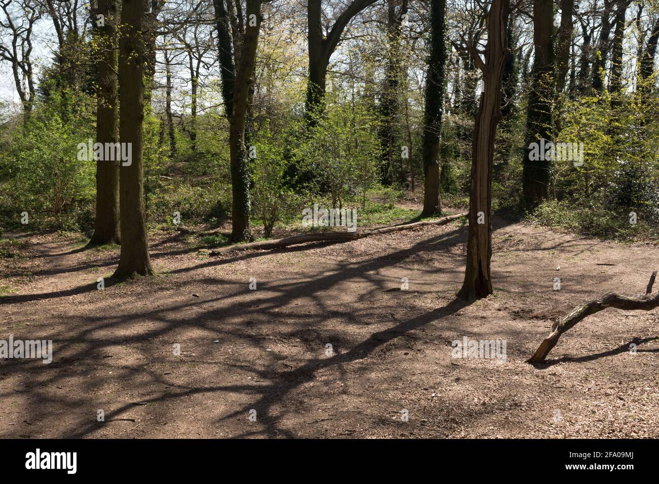 The site of Hobs Moat, Olton, West Midlands, England, UK Stock Photo