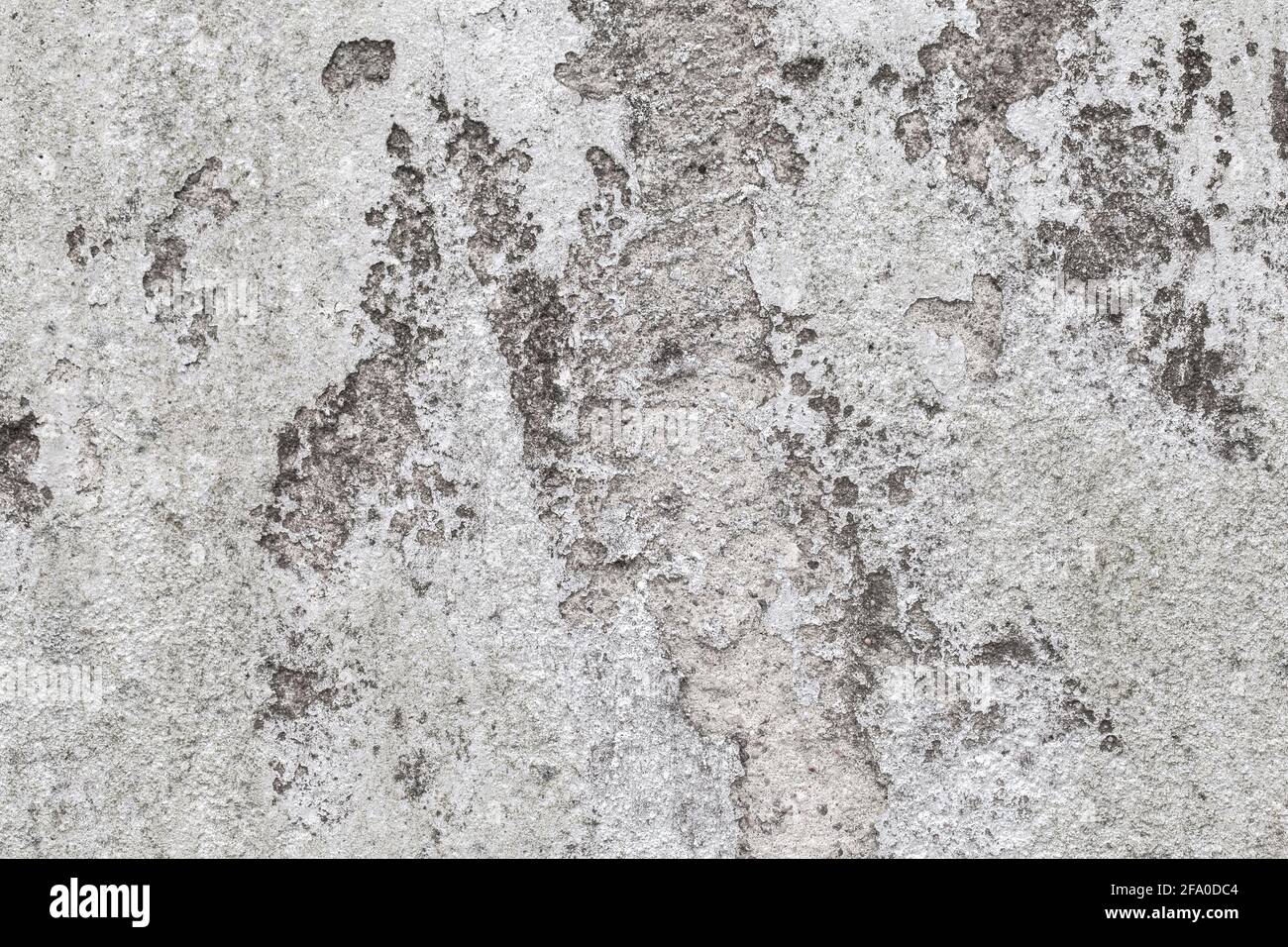 Grungy gray concrete wall texture with damaged white stucco and paint