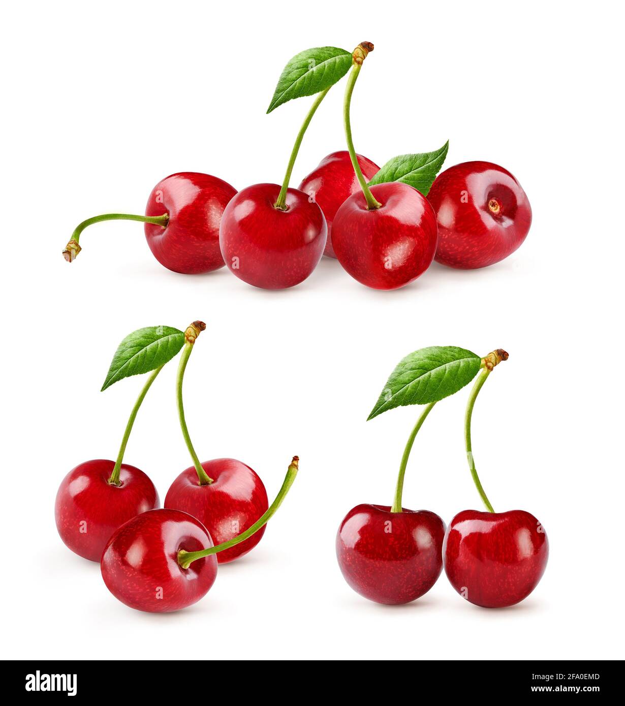 Set of cherrie fruits. Cherry with cherry leaf isolated on white Stock