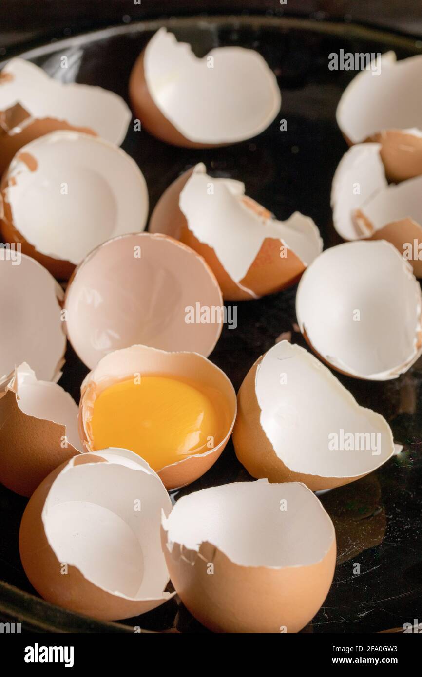 broken eggs on a platter, empty egg shells, one yellow egg yolk still in the half shell Stock Photo
