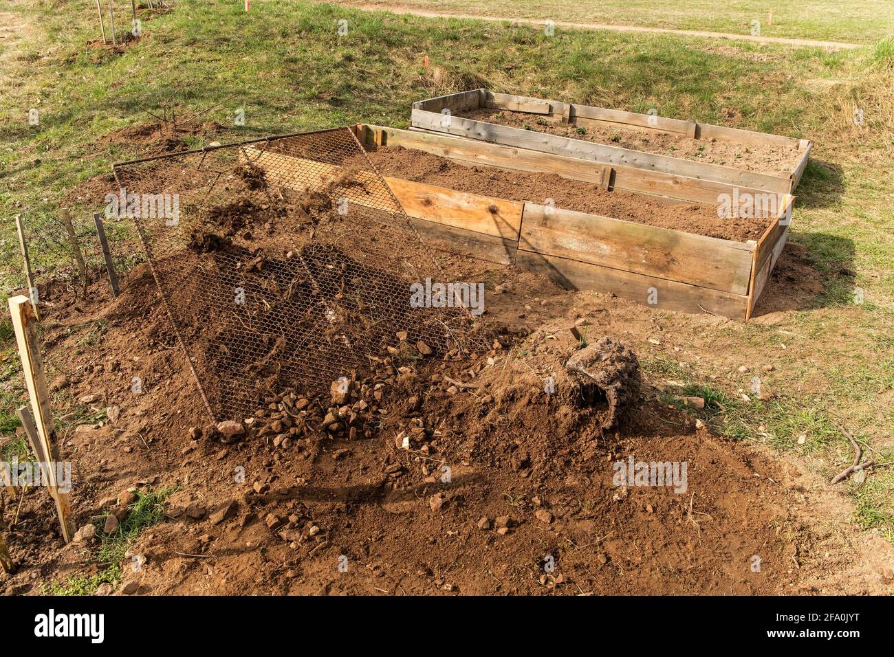 Spring work in the garden. Freshly prepared raised vegetable bed on
