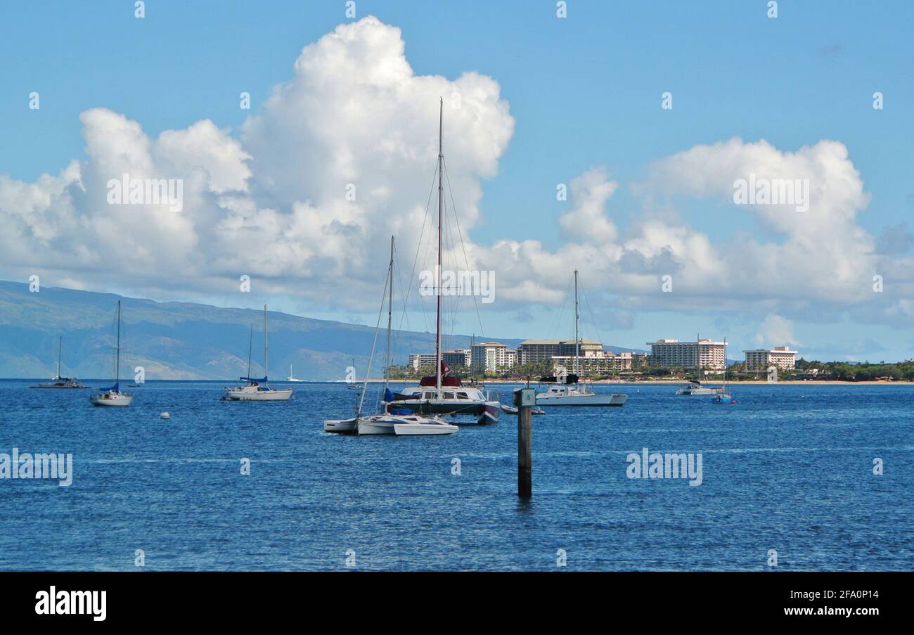 views of the harbor in Lahaina Maui Hawaii during the covid 19 partial lockdown Stock Photo