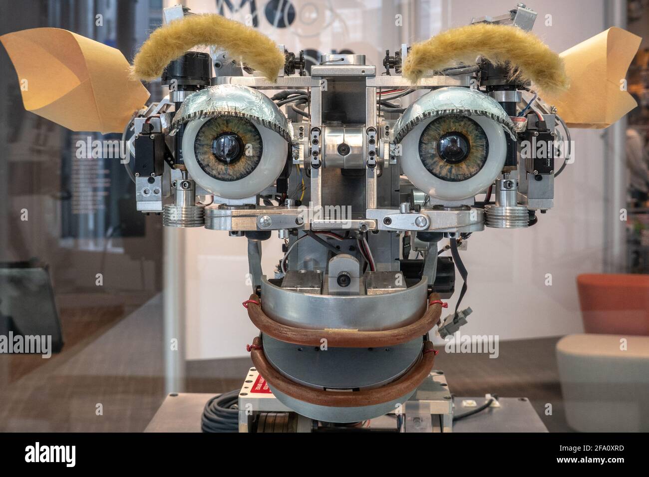 Kismet robot 1996-2000, MIT Museum display, Cambridge MA USA Stock Photo