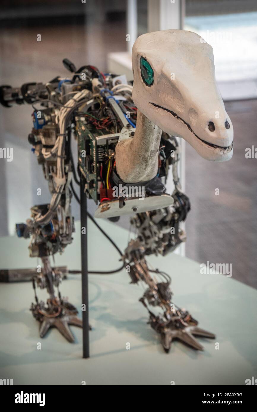 Troody robot 1995-2001, MIT Museum display, Cambridge MA USA Stock Photo -  Alamy