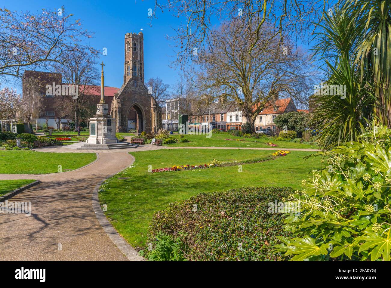View of Greyfriars Tower, war memorial and spring blossom in Tower Gardens, King's Lynn, Norfolk