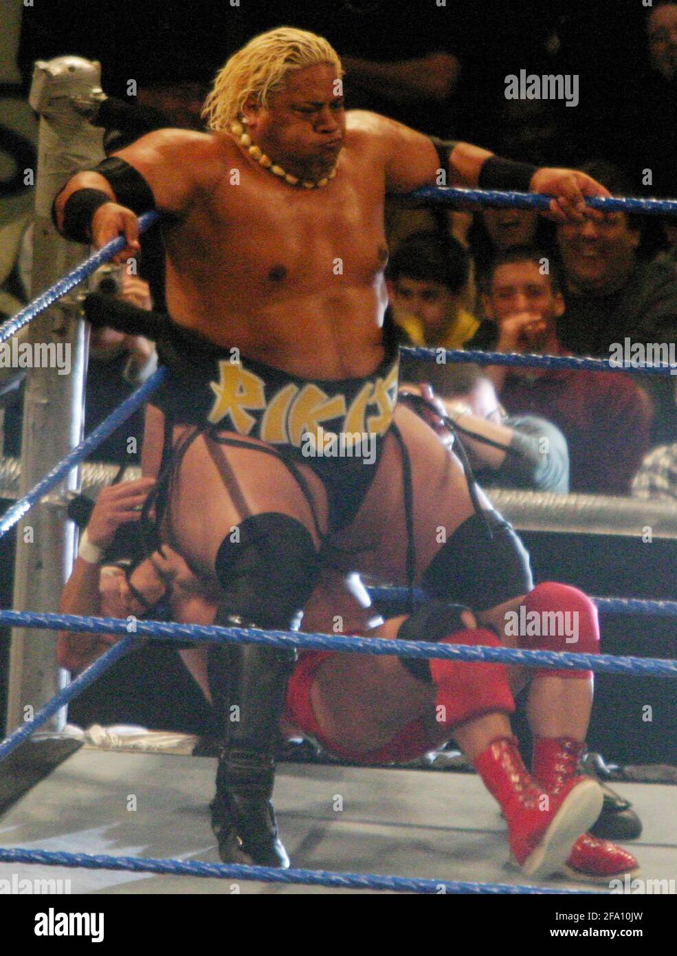 Rikishi 2004                                                                             By John Barrett/PHOTOlink Stock Photo