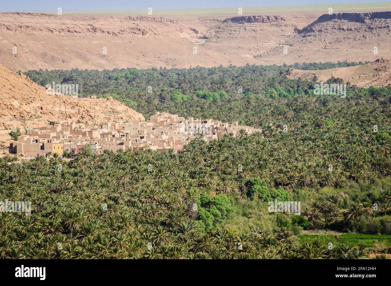 Green palm valley by river Ziz in Morocco in April 2015 Stock Photo
