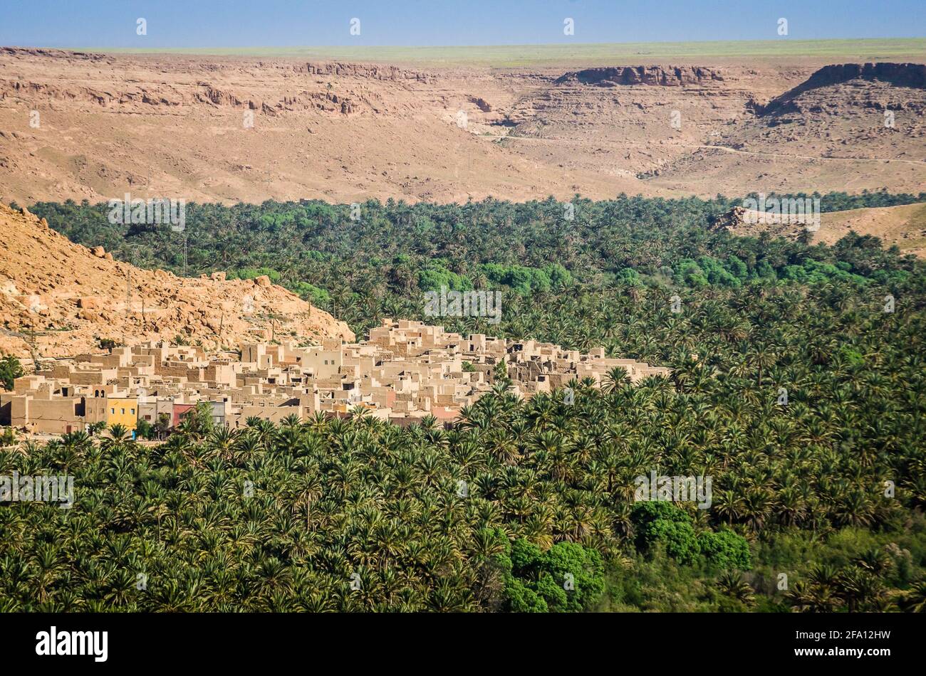 Green palm valley by river Ziz in Morocco in April 2015 Stock Photo