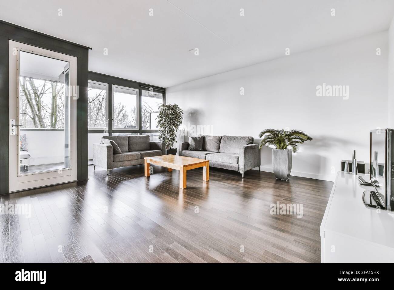 Living room with gray sofas and plants Stock Photo