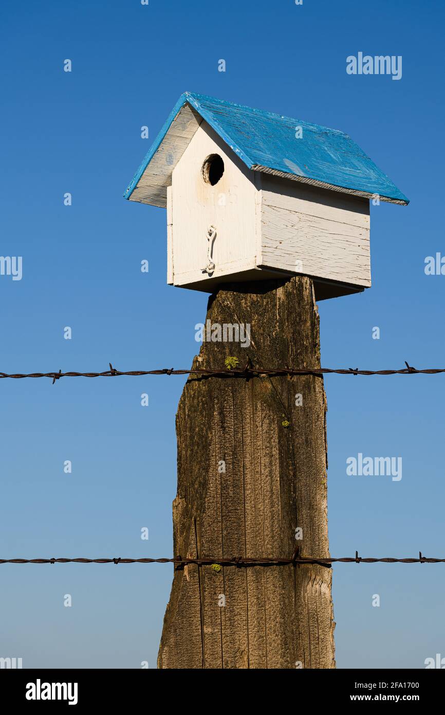 Bluebird box near Bickleton Washington with a classic blue roof on an old fence post against a blue sky background Stock Photo