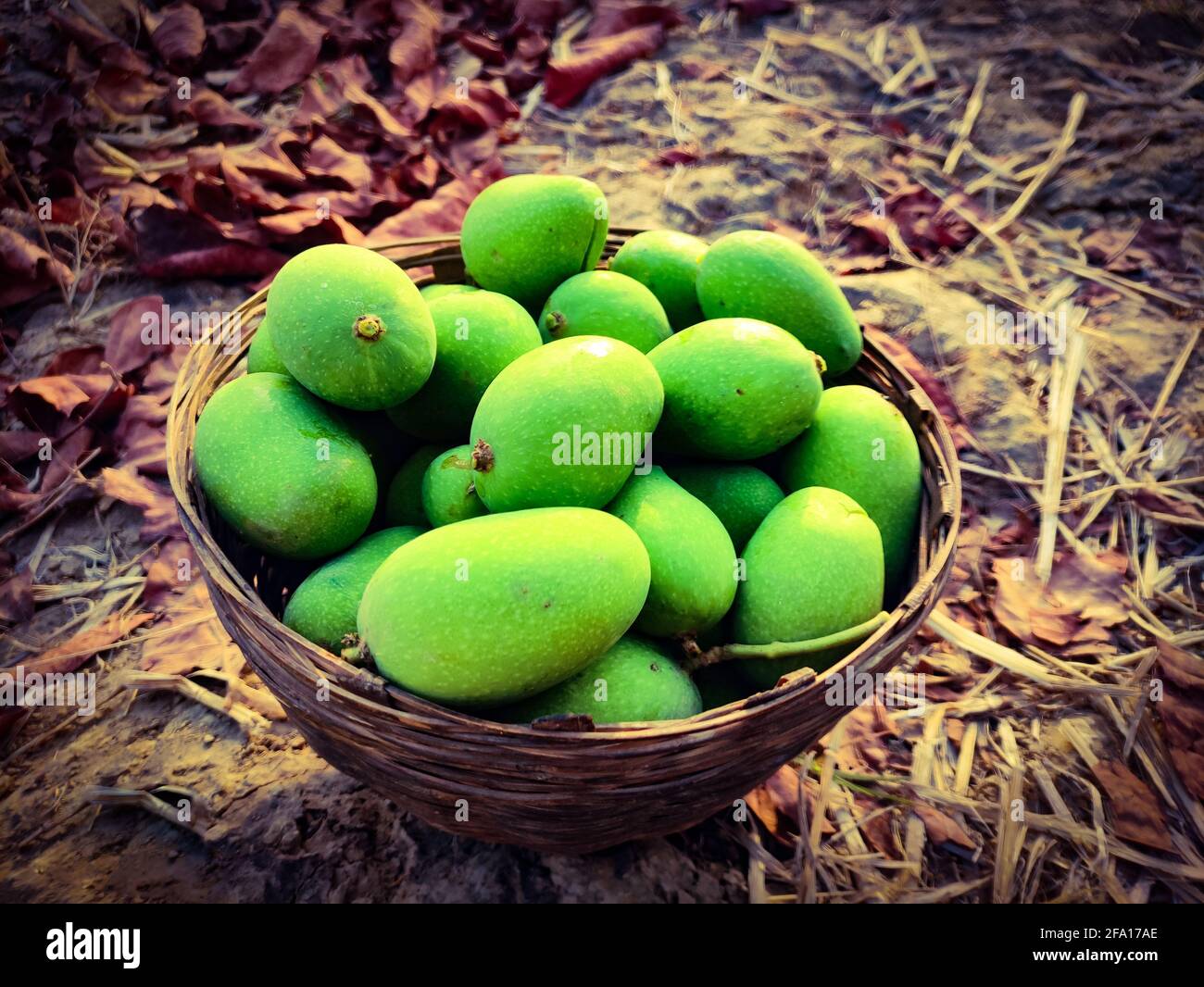 An image of fresh green mango on wooden basket Stock Photo