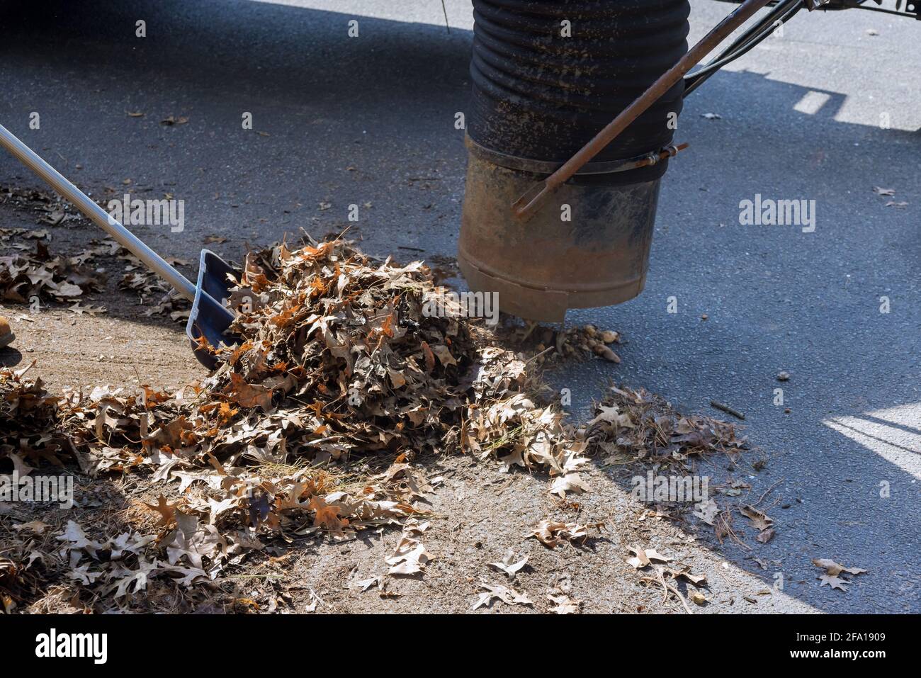 Municipal cleaning service for falling leaves being vacuum up on city street Stock Photo