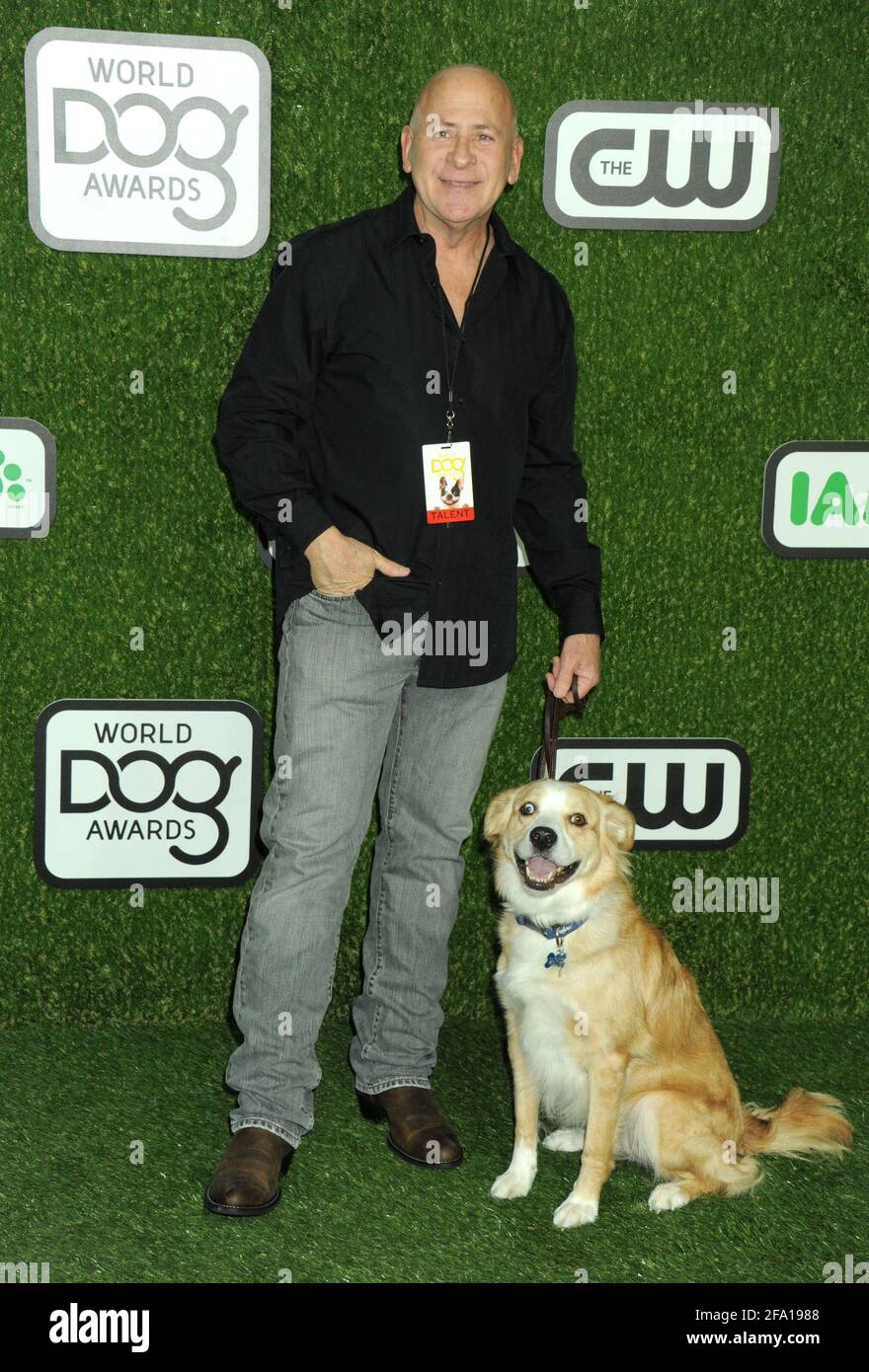 Chase Commercial Dog Duchess on the green carpet during the 2016 World Dog Awards, held at Barker Hanger in Santa Monica, California, Saturday, January 9, 2016.  Photo by Jennifer Graylock-Graylock.com 917-519-7666 Stock Photo