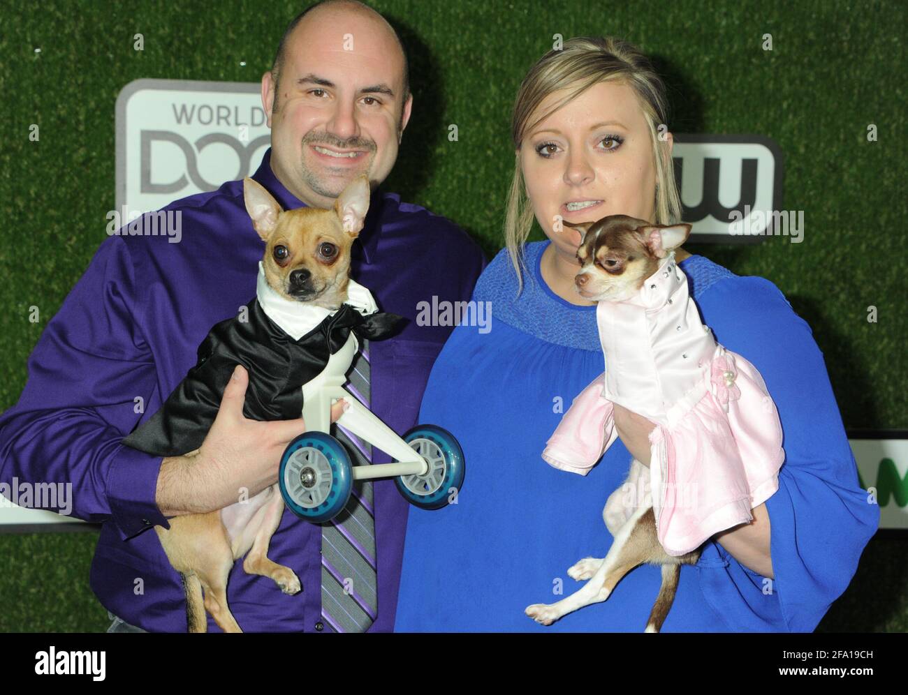 Dog Turbo Roo, Dog Ruby Roo on the green carpet during the 2016 World Dog Awards, held at Barker Hanger in Santa Monica, California, Saturday, January 9, 2016.  Photo by Jennifer Graylock-Graylock.com 917-519-7666 Stock Photo