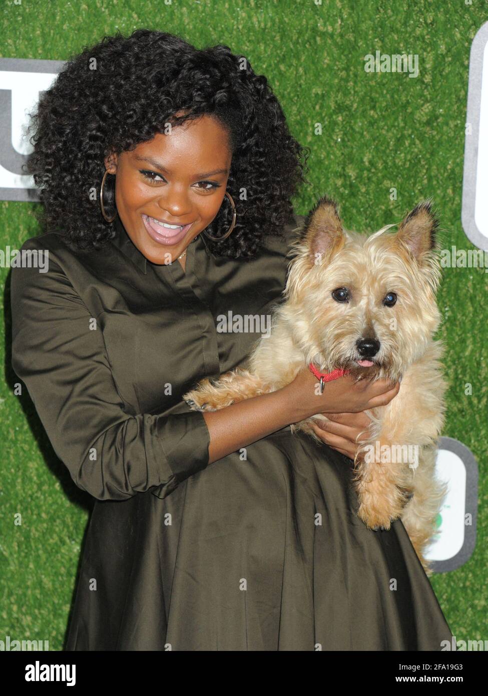 Shanice Williams, Dog Toto on the green carpet during the 2016 World Dog Awards, held at Barker Hanger in Santa Monica, California, Saturday, January 9, 2016.  Photo by Jennifer Graylock-Graylock.com 917-519-7666 Stock Photo