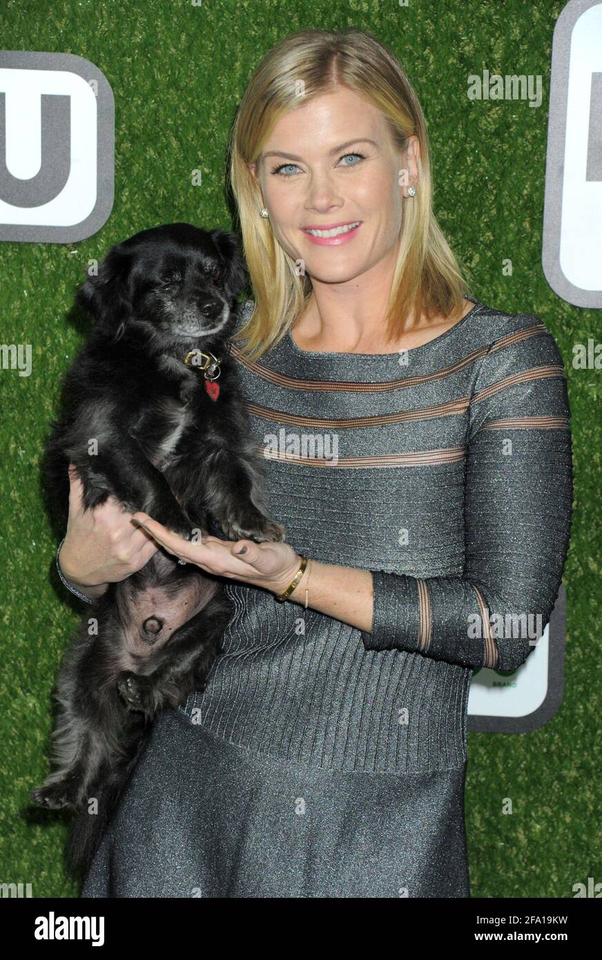 Alison Sweeney on the green carpet during the 2016 World Dog Awards, held at Barker Hanger in Santa Monica, California, Saturday, January 9, 2016.  Photo by Jennifer Graylock-Graylock.com 917-519-7666 Stock Photo