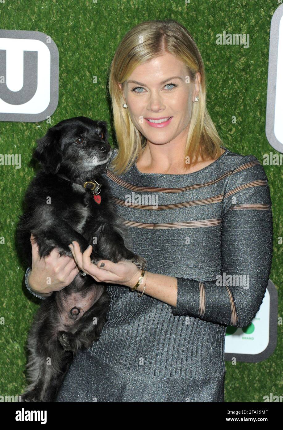 Ali sweeney alison sweeney hi-res stock photography and images - Alamy