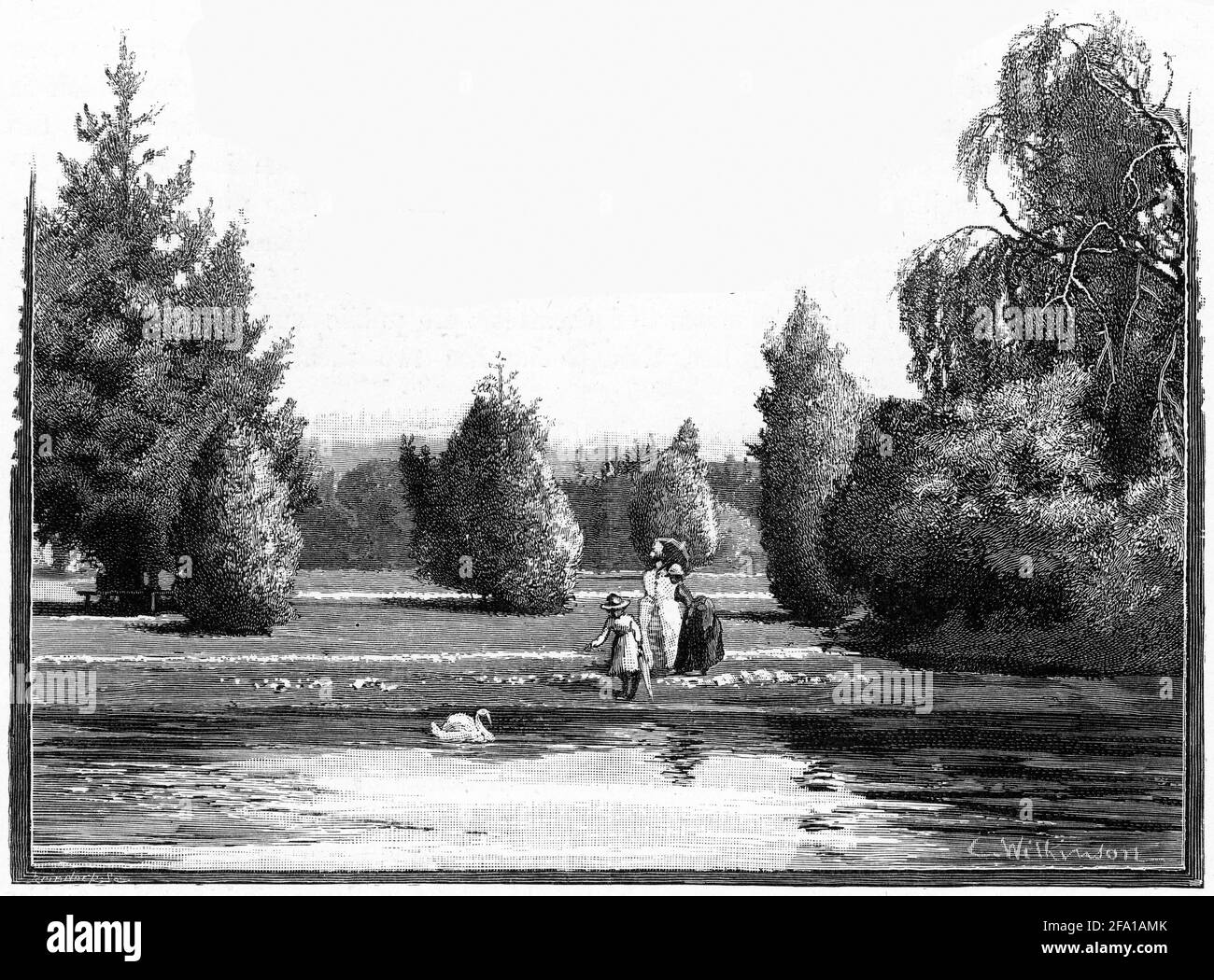 Engraving of Dunedin Botanical Gardens, New Zealand, circa 1890 Stock Photo