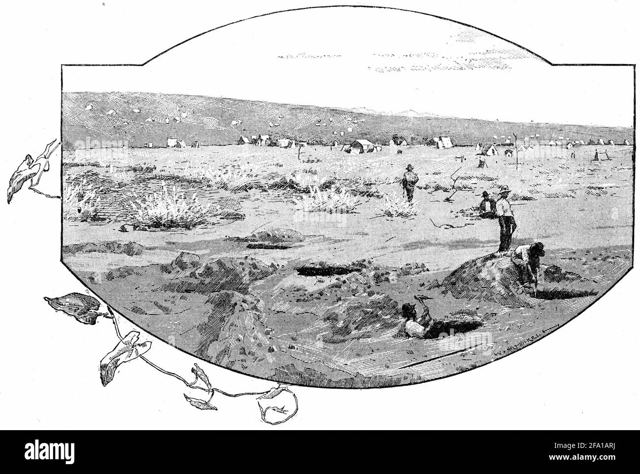Engraving of men working the Teetulpa goldifelds in Australia during the gold rush days Stock Photo