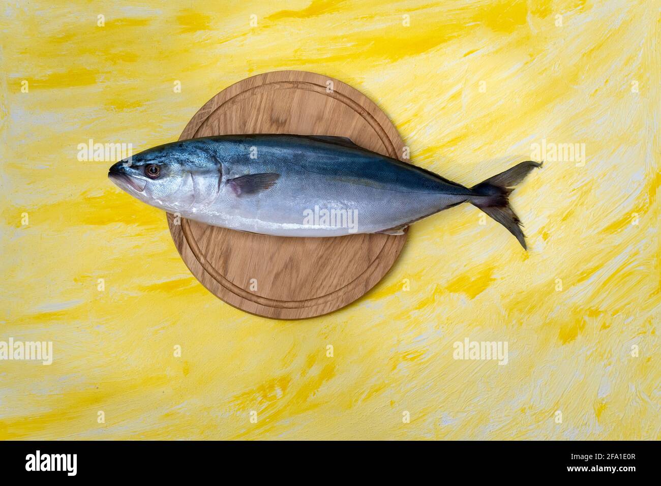 large seriola amberjack is a dumerili on a yellow background. top view Stock Photo