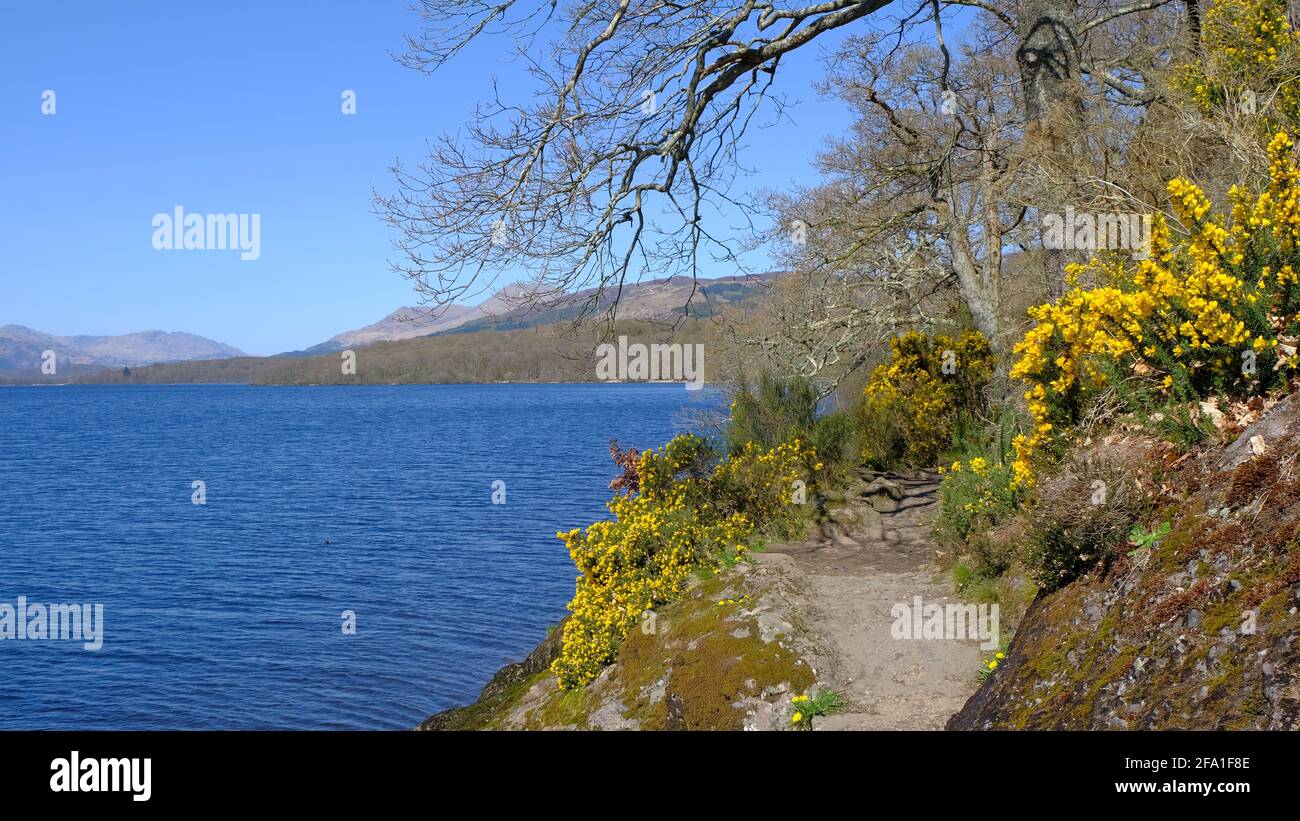 Loch Lomond pathway Stock Photo Alamy