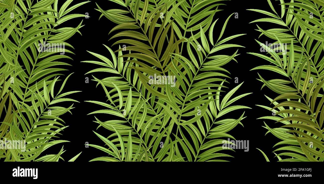 Tropical palm leaves, jungle leaves seamless vector floral pattern background Stock Vector Image