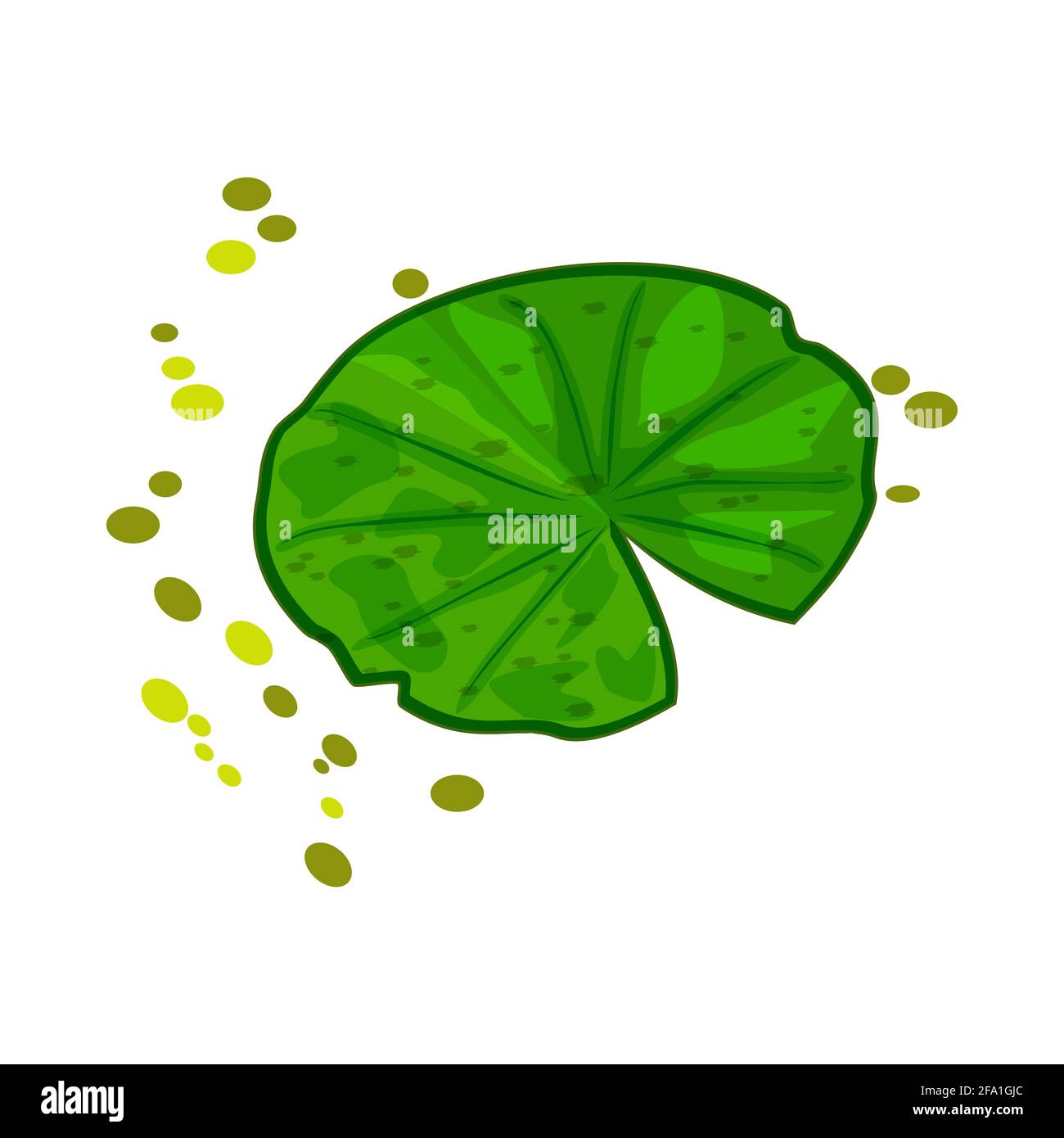Lily pad isolated on white background. Lotus leaf logo design.Cartoon