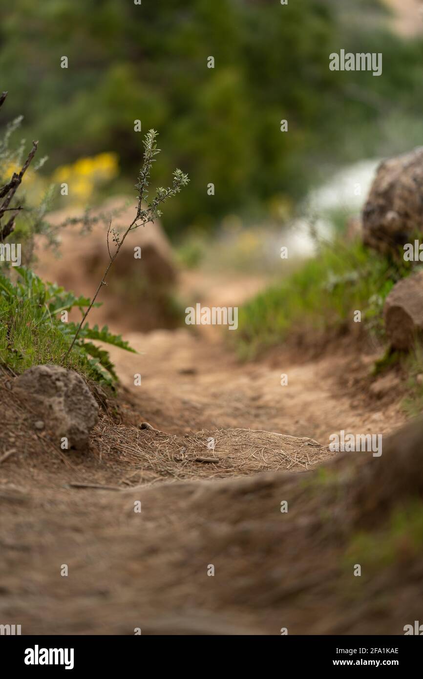 Vertical shot cliff field hi-res stock photography and images - Alamy