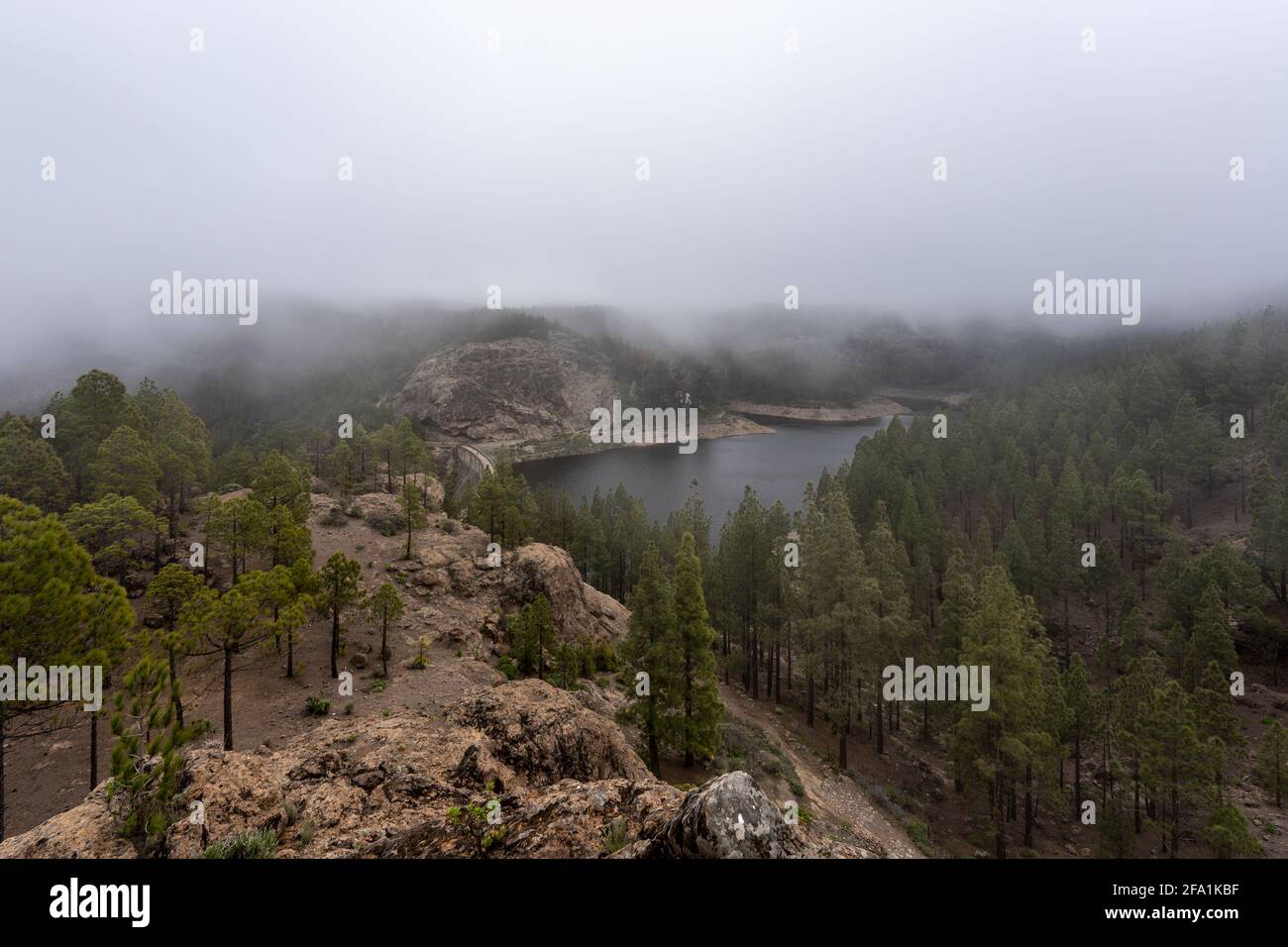 Lake in a forest on a foggy day Stock Photo - Alamy
