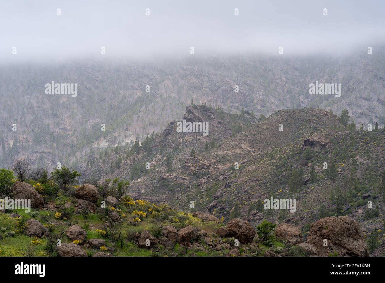 Rocky mountain on a foggy day Stock Photo - Alamy