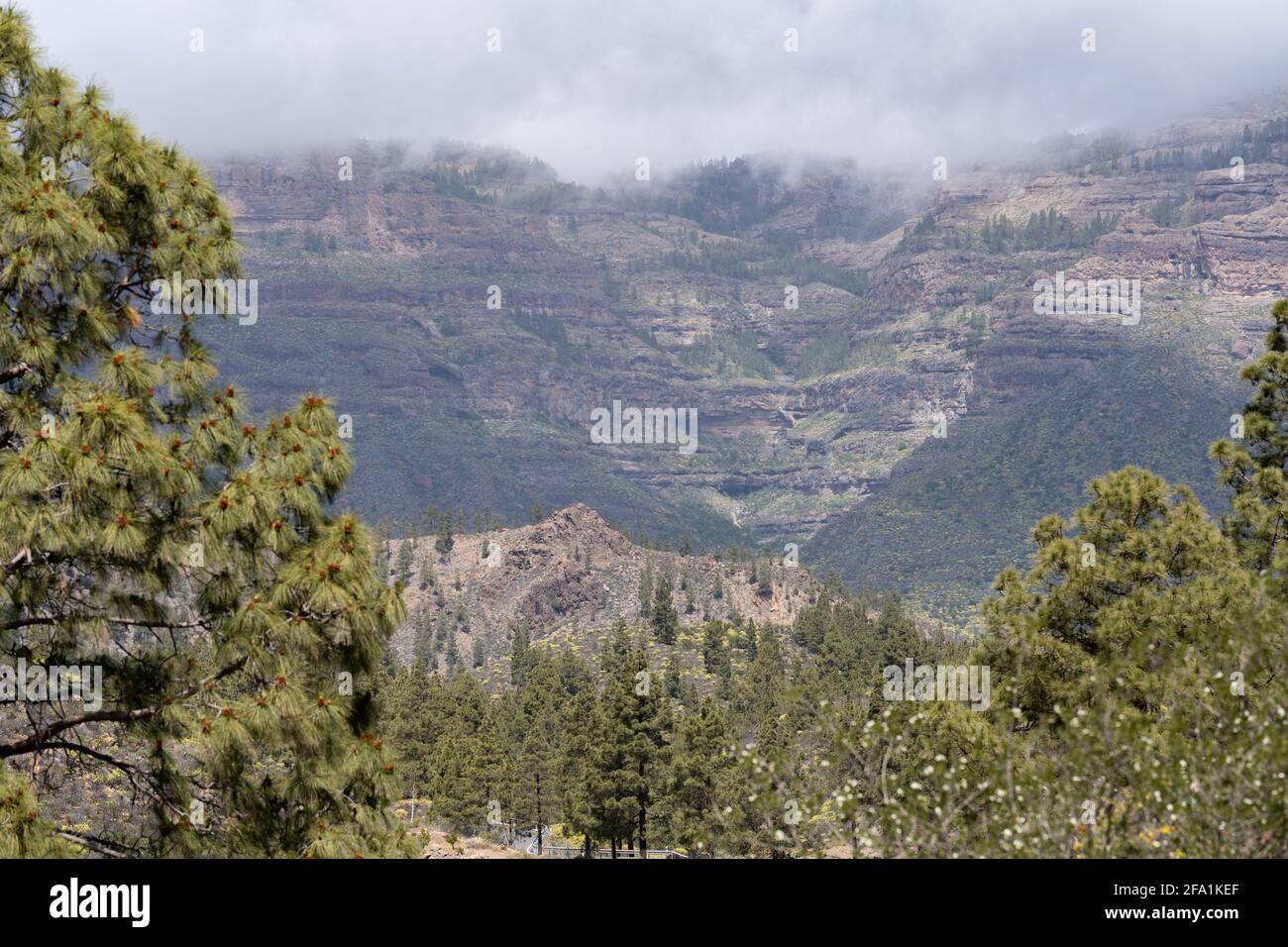 Rocky mountain on a foggy day Stock Photo - Alamy