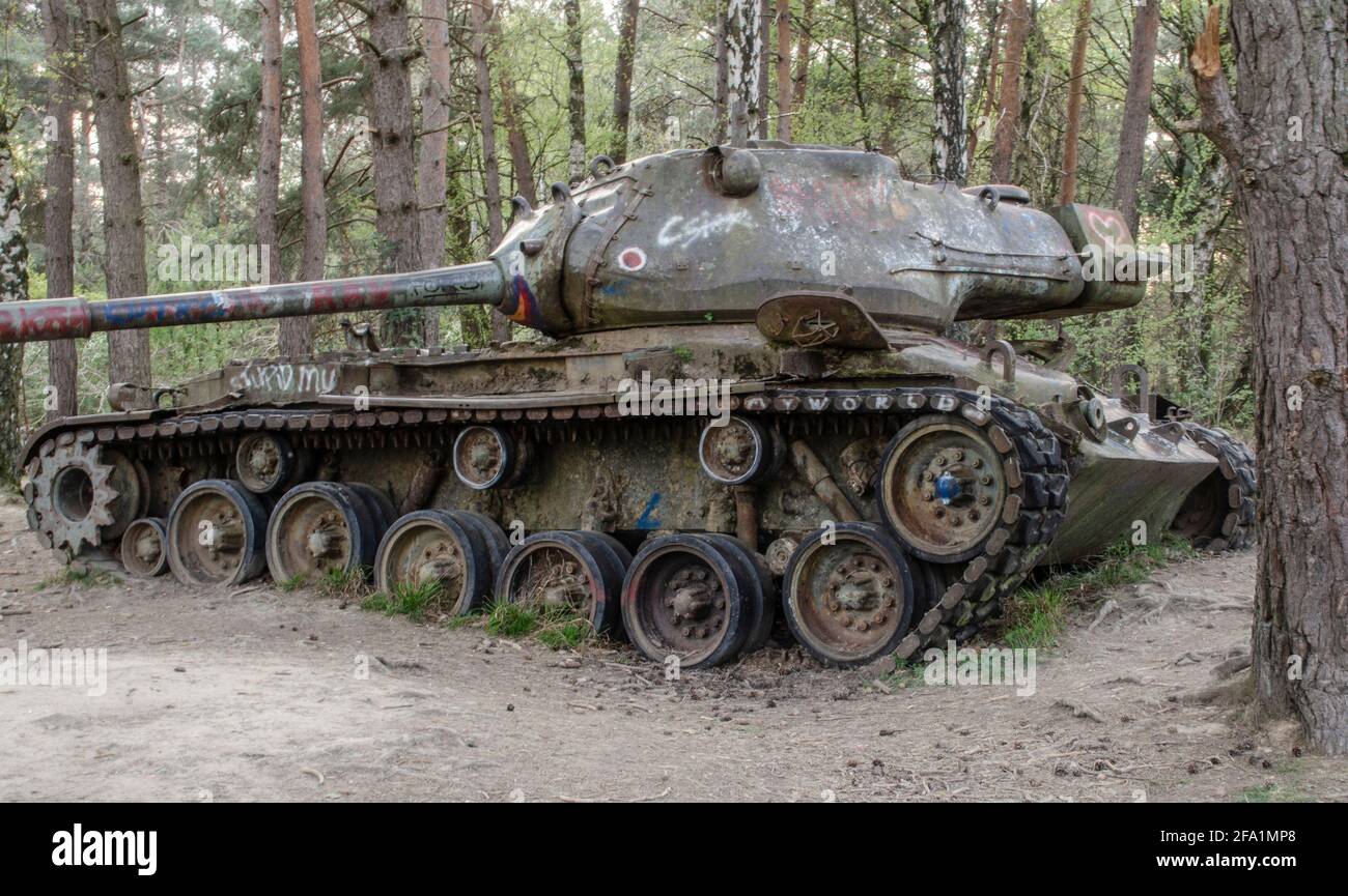 Panzer im Wald Stock Photo