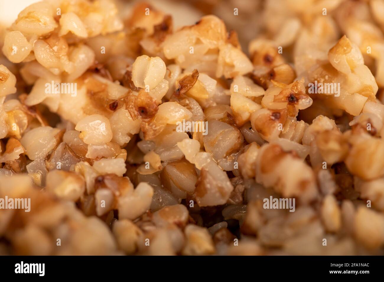 Boiled buckwheat porridge. Traditional grits of Russian cuisine