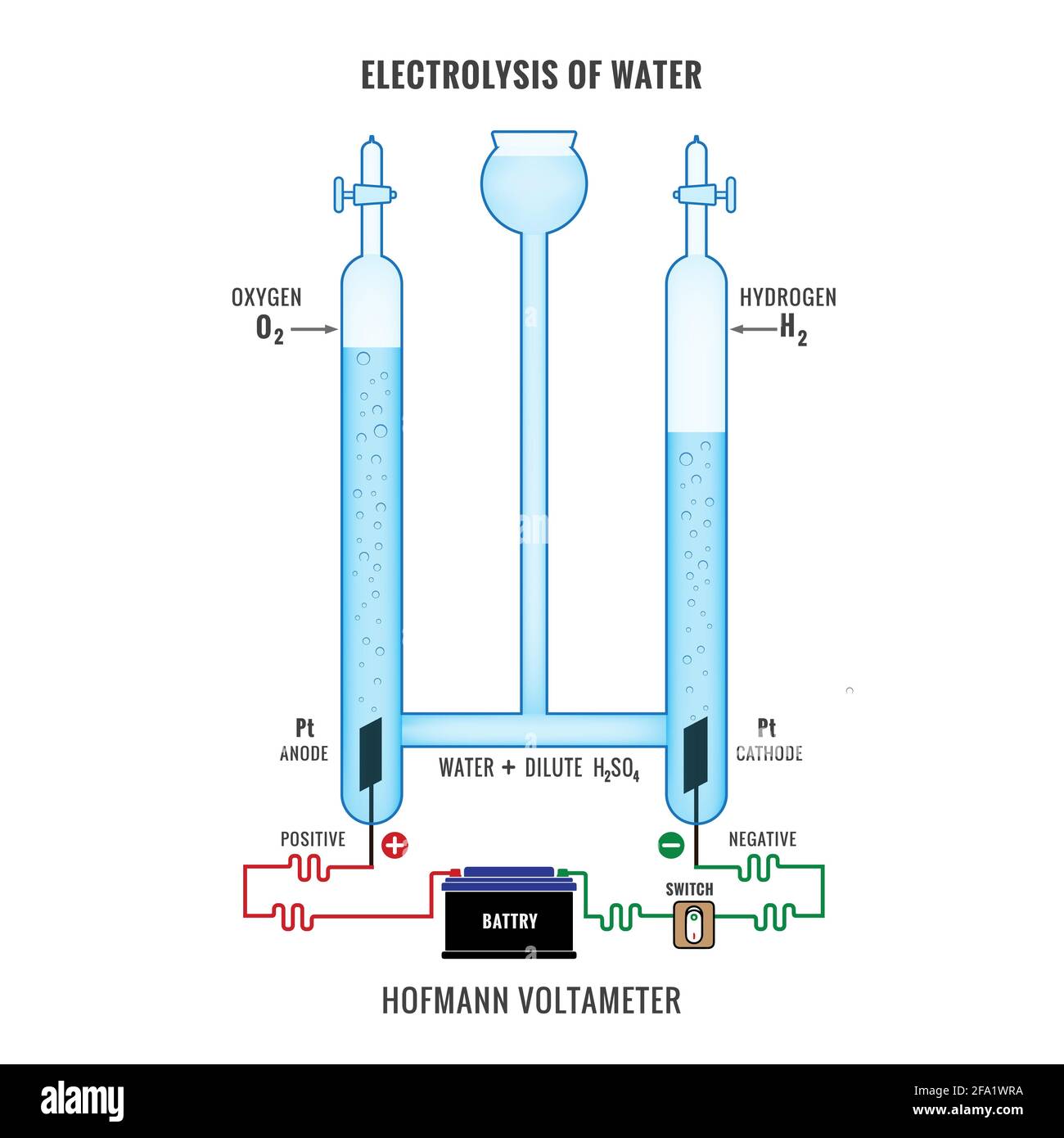 Electrolysis of Water. Labeled diagram to show the electrolysis of acidified water forming hydrogen and oxygen gases. Electrolysis of Water in Hofmann Stock Vector