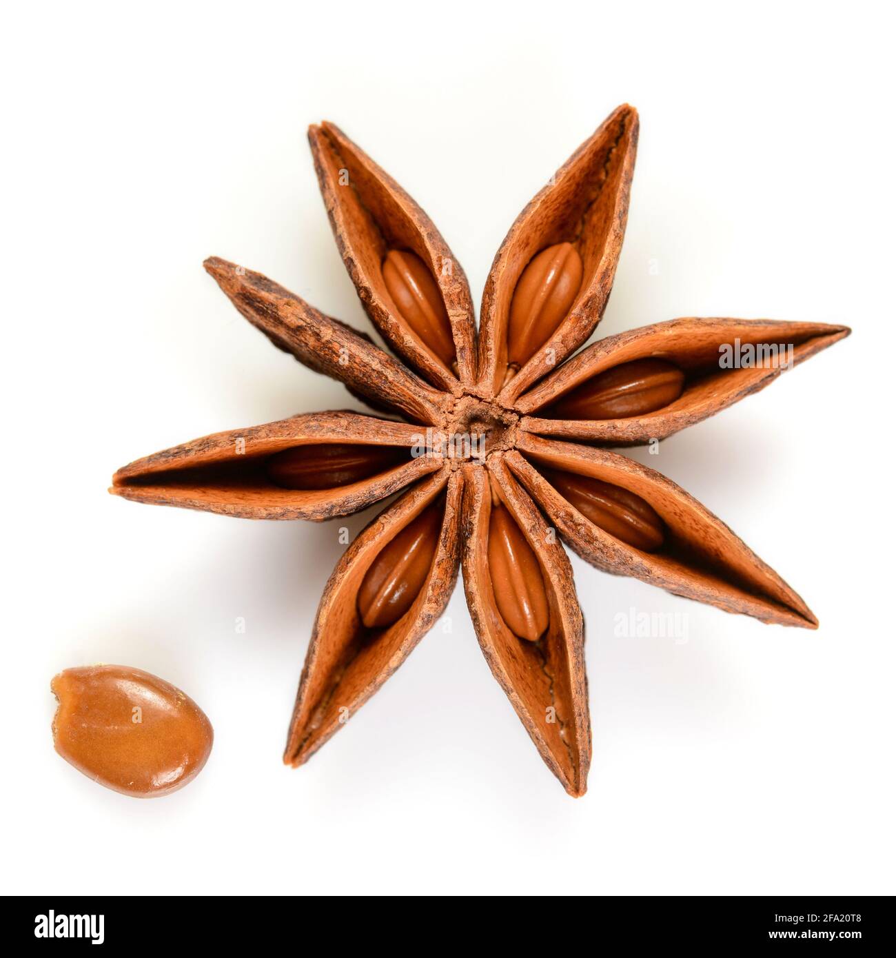 Star anise. Single star anise fruit with seed. Macro closeup Isolated