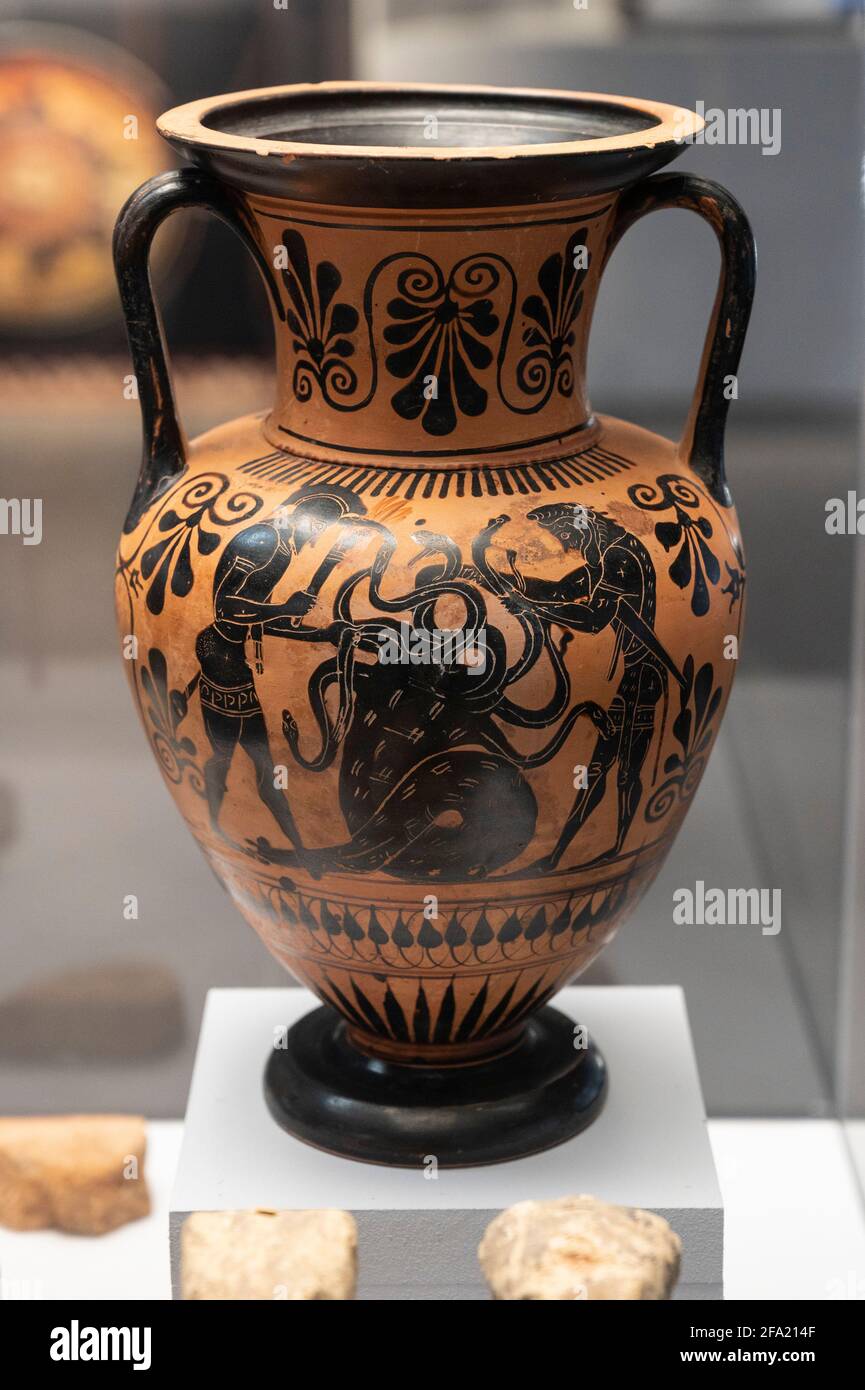 Rome. Italy. Attic black-figure amphora, 530-500 BC. Side A (pictured), Heracles fighting with Iolaus against the Hydra of Lerna. Side B (See Alamy re Stock Photo