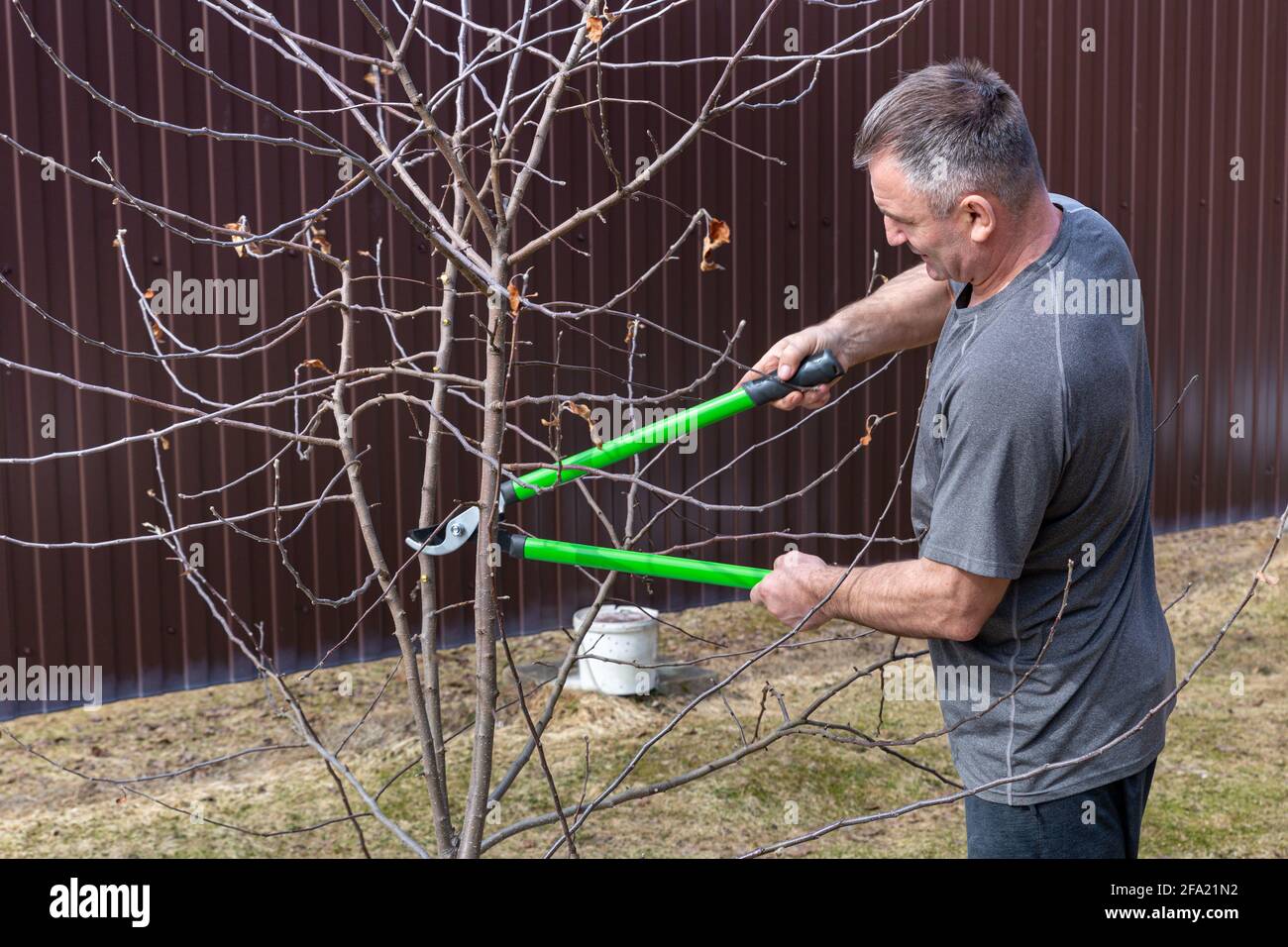 A man of 45-50 years old cuts off the branches of a apple tree with a pruner. Stock Photo